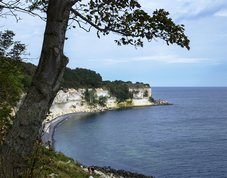 Stevns Klint